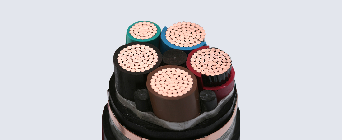 Cáp điện LS - Ảnh 5